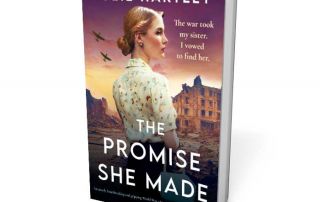 The promise she made book cover